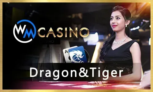 80jili bingo strategy guide